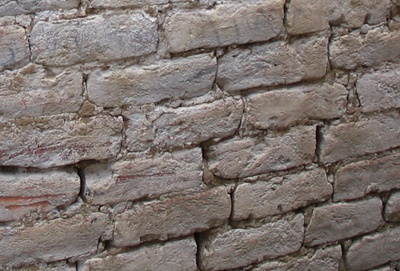 Mud mortar and fired clay bricks (D. Rai)
