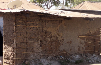 Mud wall with bamboo reinforcement, Kenya (K. Jaiswal)